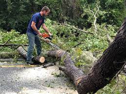 Best Utility Line Clearance  in Westmont, NJ